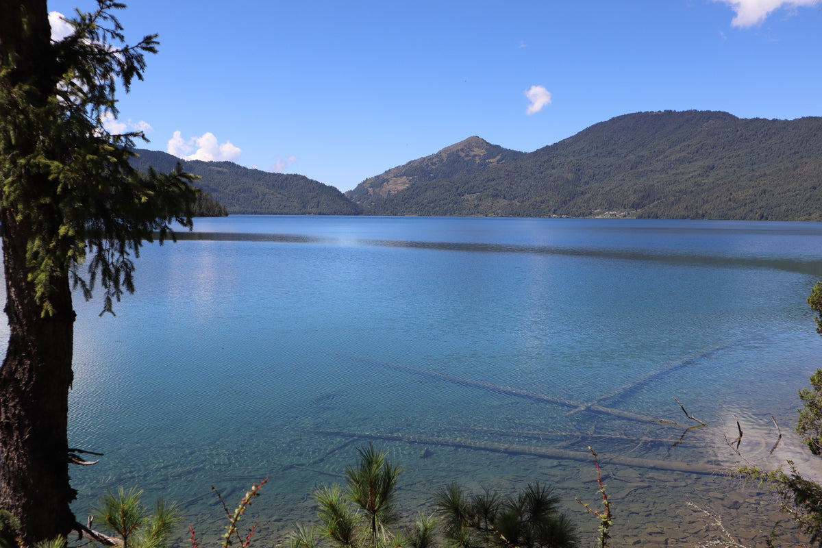 Shore of Rara Lake, Nepal.
