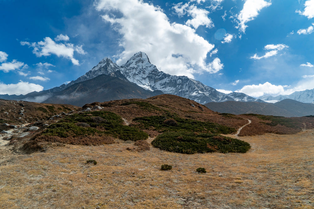 A trail across alpine grassland below Ama Dablam in the Khumbu, Nepal.