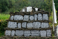 Stone monument with inscriptions in a natural setting