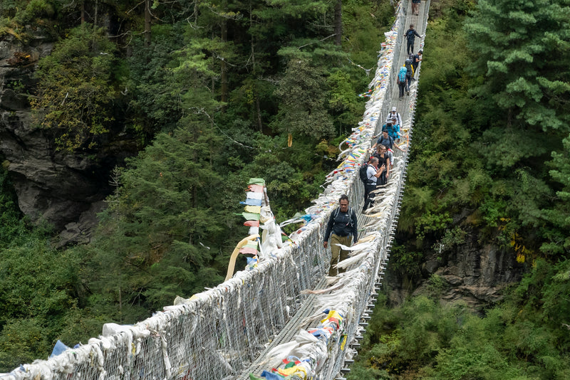People walking on a suspension bridge in a forested area