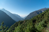 Scenic view of mountains with green trees and clear blue sky