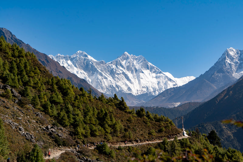 Snow-capped mountains with a clear blue sky and greenery in the foreground.