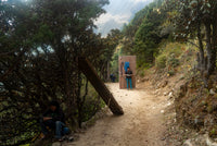 Person standing next to a large cardboard box on a dirt path in a forested area.