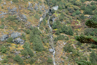 Stream flowing through a rocky and vegetated landscape