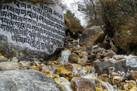 Rock with engraved text in a natural setting with water and trees