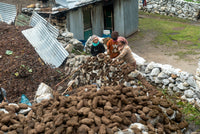 Three people standing behind a stone wall with a small building in the background.