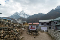 Small village with houses and a mountain in the background