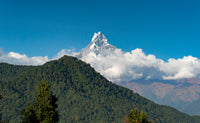 Mountain peak with clouds and green forest in the foreground