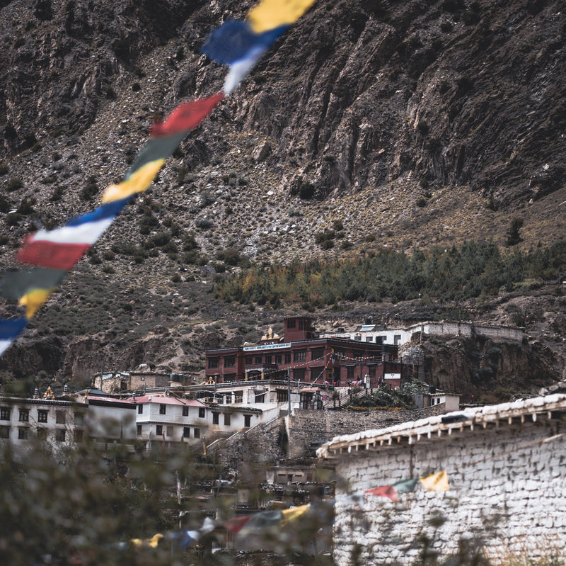 Traditional buildings with prayer flags against a mountainous landscape