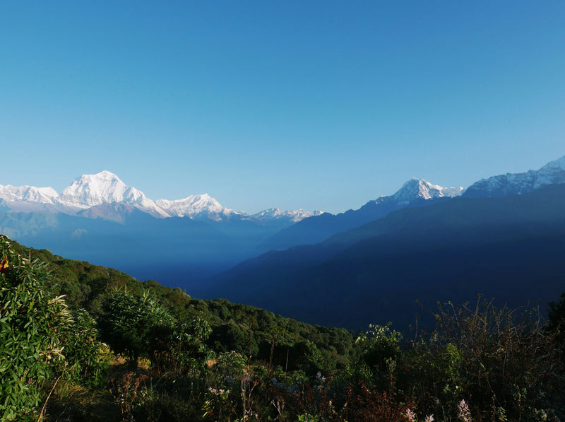 The Annapurna Circuit
