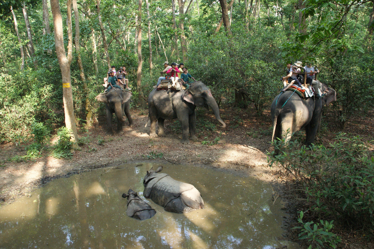 14-Day Buddhist Pilgrimage Tour India & Nepal | SherpaHolidays