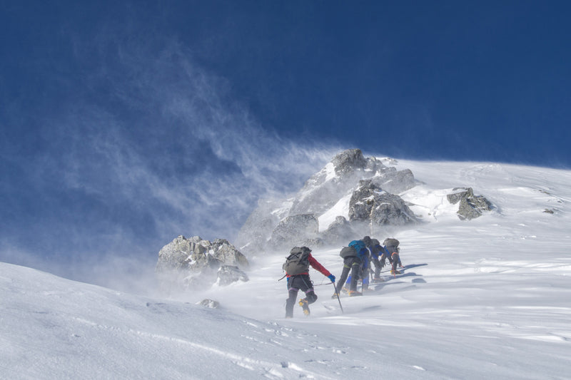 24 Day Pachermo Peak Climbing Nepal | SherpaHolidays