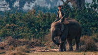 14-Day Buddhist Pilgrimage Tour India & Nepal | SherpaHolidays