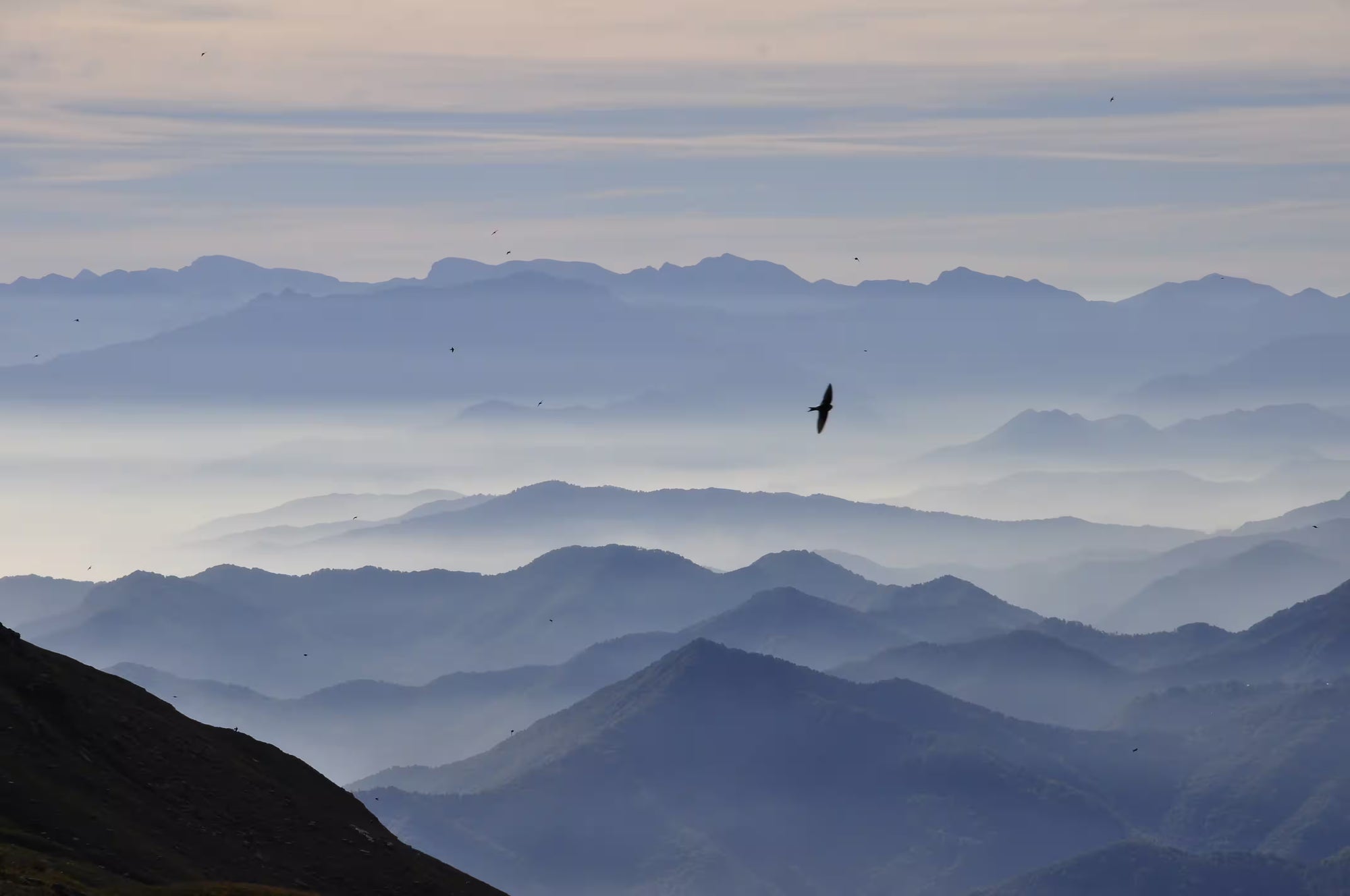 Silhouette of a bird flying over mountain ranges with a hazy sky.