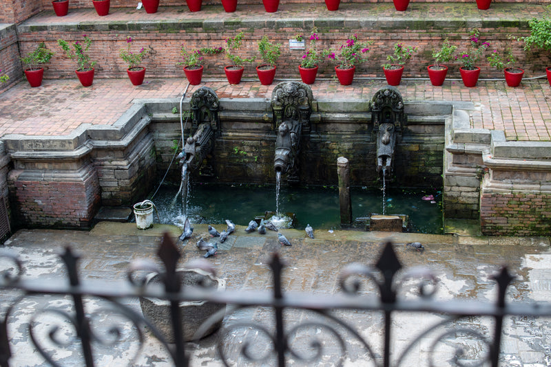 Traditional Nepalese water fountain with decorative elements and potted plants on a wall.