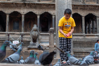 Child in yellow shirt and plaid pants standing among pigeons in front of an architectural structure.