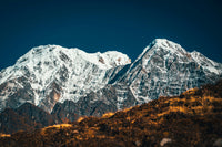 The Throne Room of the Gods