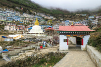 Traditional Tibetan buildings with a central white stupa on a mountainous landscape.