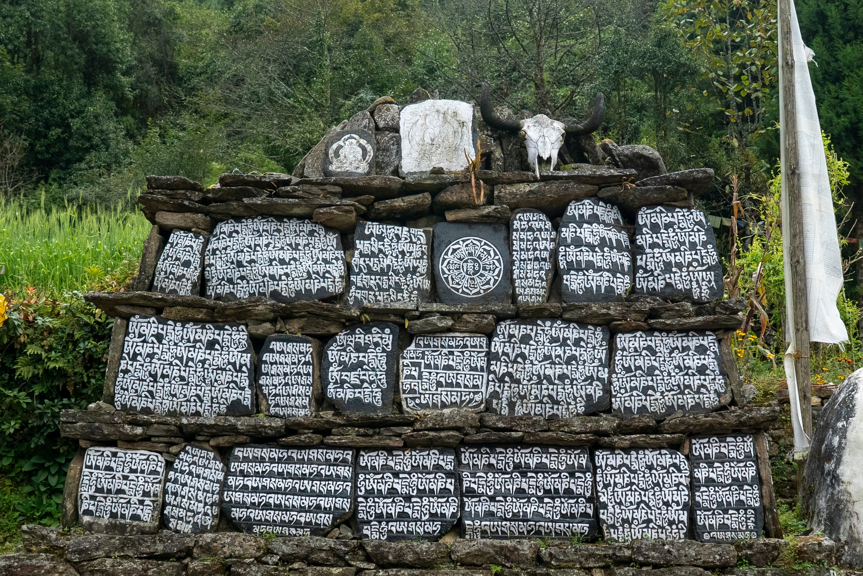 A carved mani-stone wall on a Khumbu trail, Nepal
