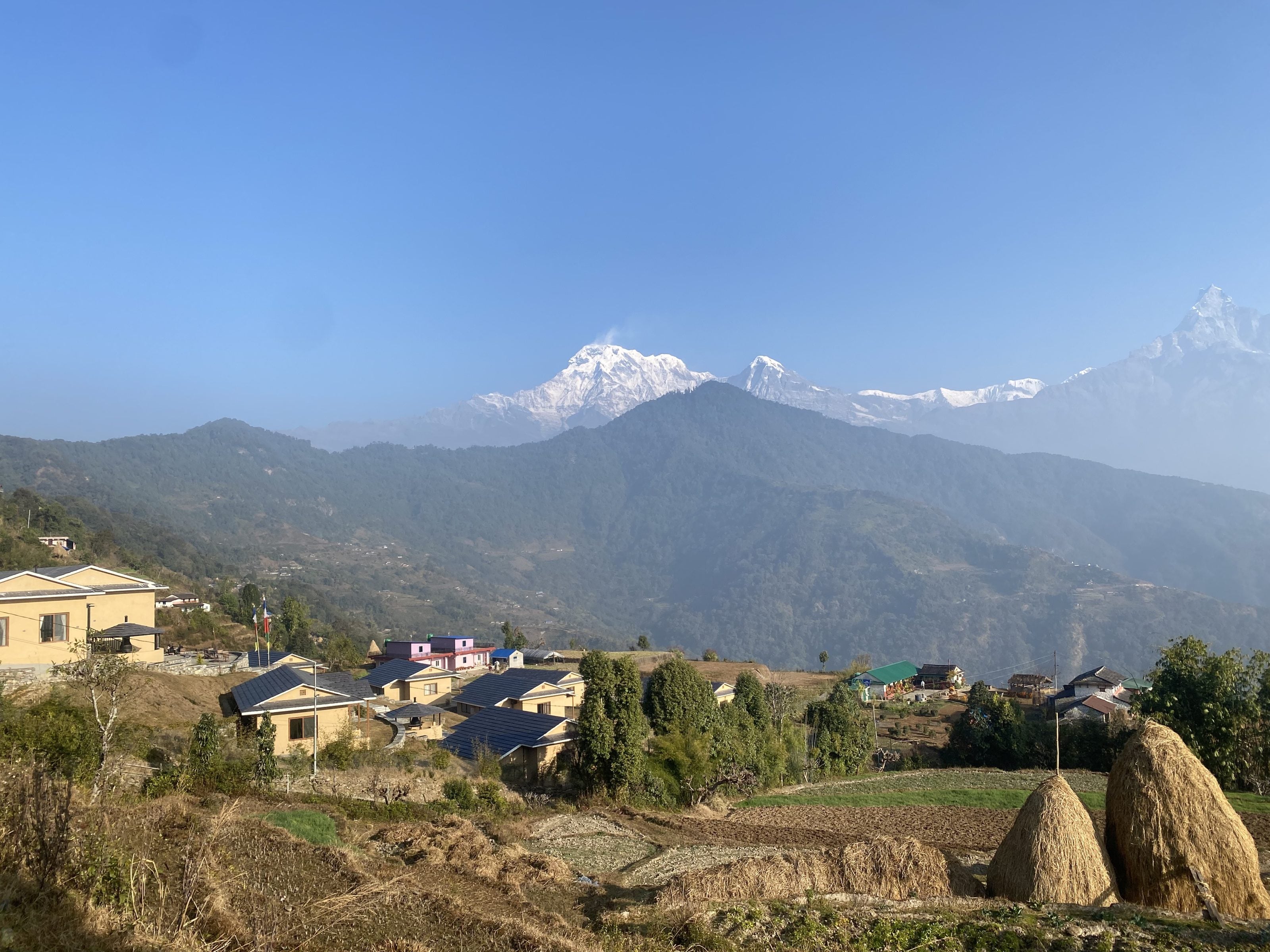 Dhampus village terraces below Annapurna South, Hiunchuli and Machhapuchhre, Nepal