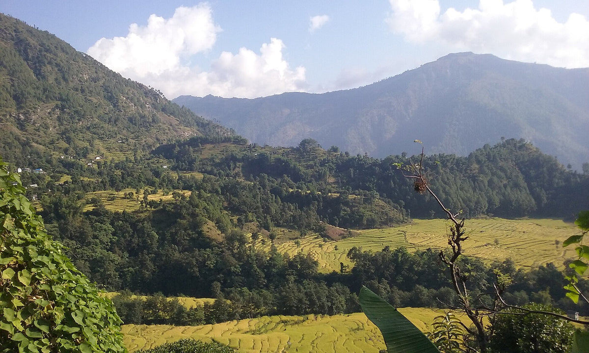 Salyan terraces in the Solu foothills, Nepal