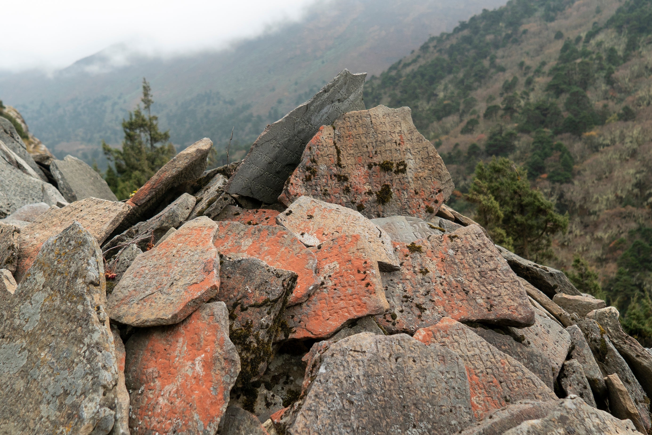 Carved prayer stones in Khumbu, Nepal.